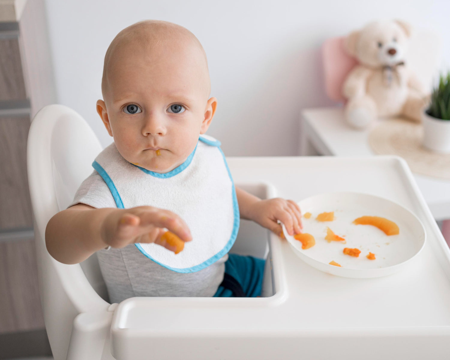 Tips for Choosing the Best Baby Feeding Products